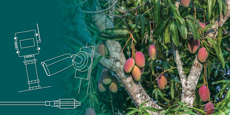 Connectivity Solutions